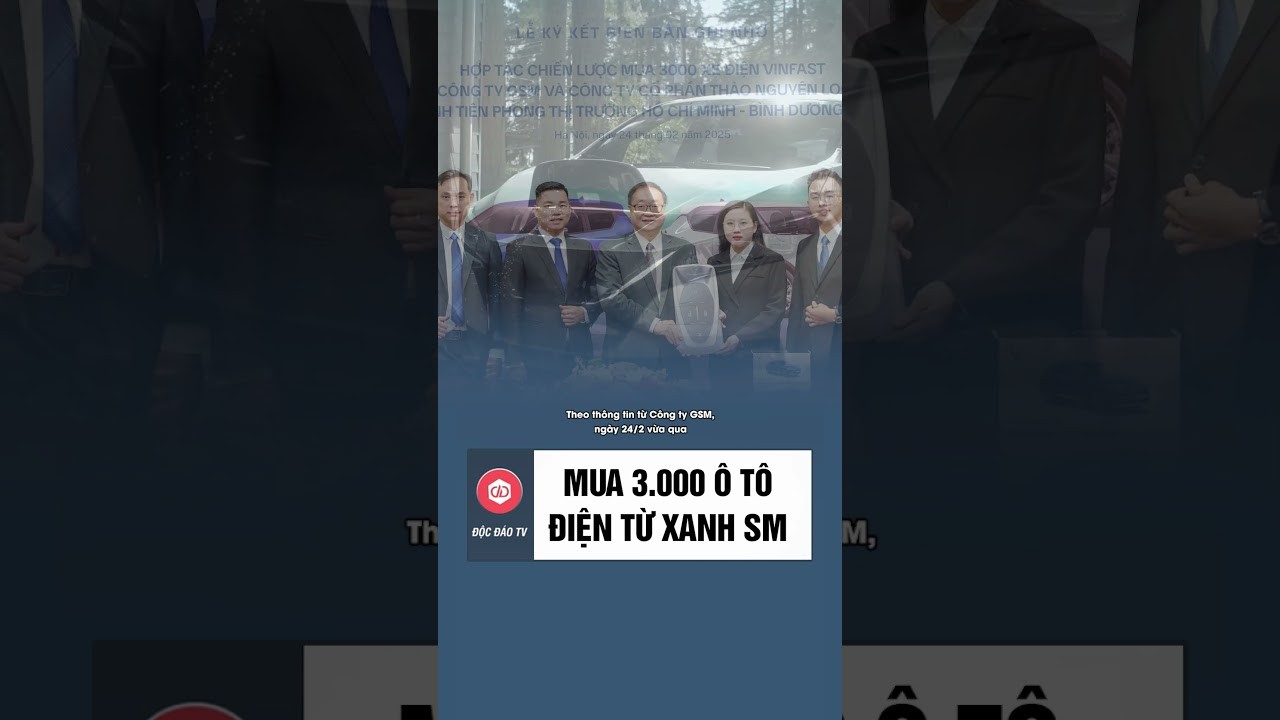 Xanh SM Dẫn Đầu Thị Trường, Thảo Nguyên Mua 3000 Xe Điện VinFast